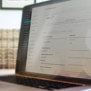 Powerful Theme Options